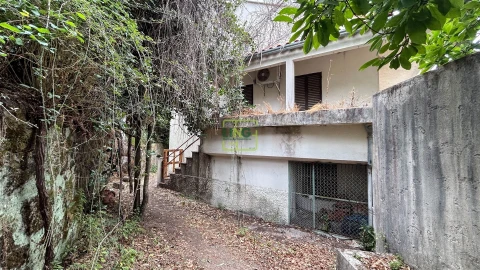 Quinta T4 para Venda em Louriçal do Campo