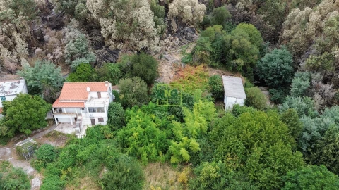 Quinta T4 para Venda em Louriçal do Campo