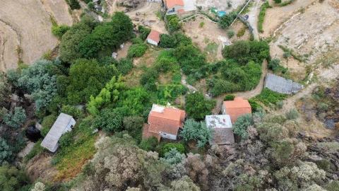 Quinta T4 para Venda em Louriçal do Campo