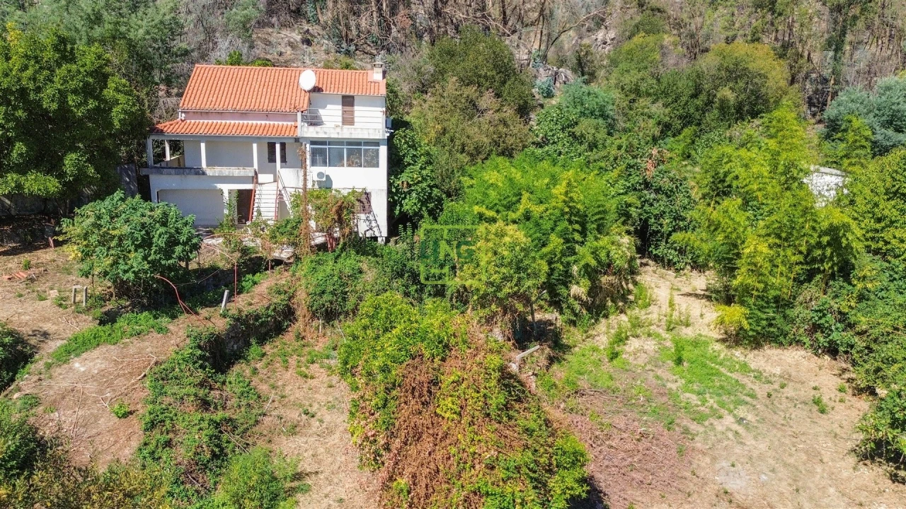 Quinta T4 para Venda em Louriçal do Campo Foto 78