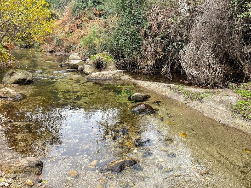 Quinta T4 para Venda em Louriçal do Campo Foto 41
