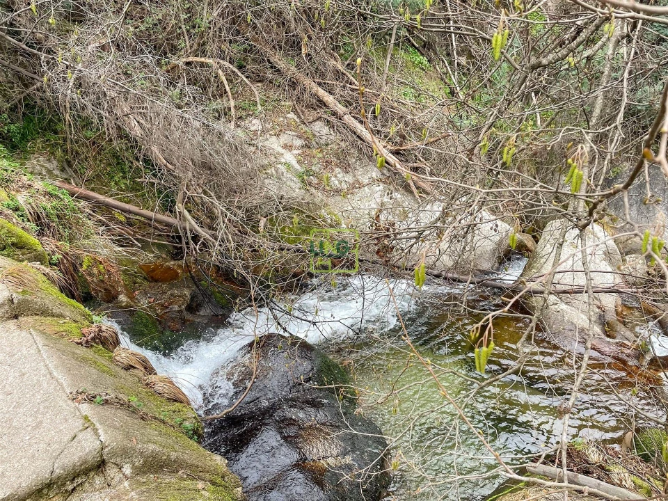 Quinta T4 para Venda em Louriçal do Campo Foto 18
