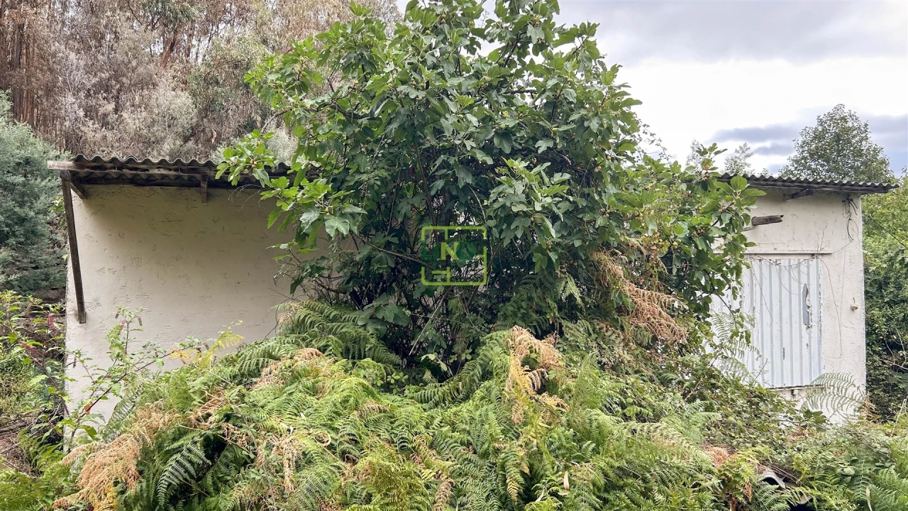 Quinta T4 para Venda em Louriçal do Campo Foto 105