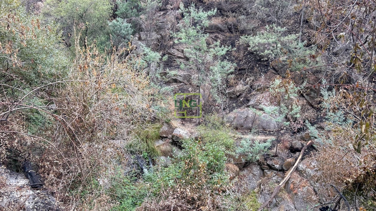 Quinta T4 para Venda em Louriçal do Campo Foto 101