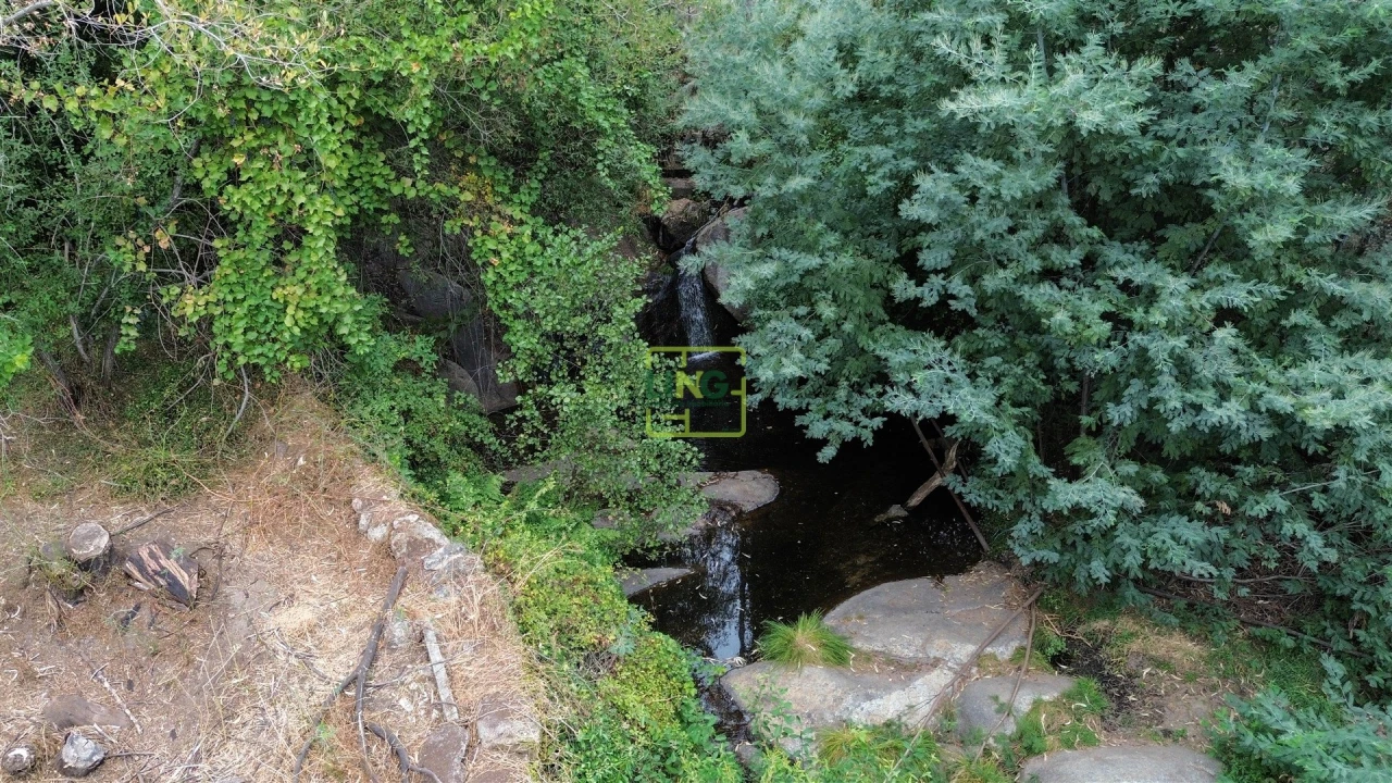 Quinta T4 para Venda em Louriçal do Campo Foto 57