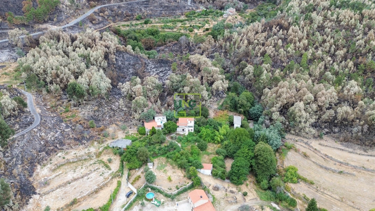 Quinta T4 para Venda em Louriçal do Campo Foto 66
