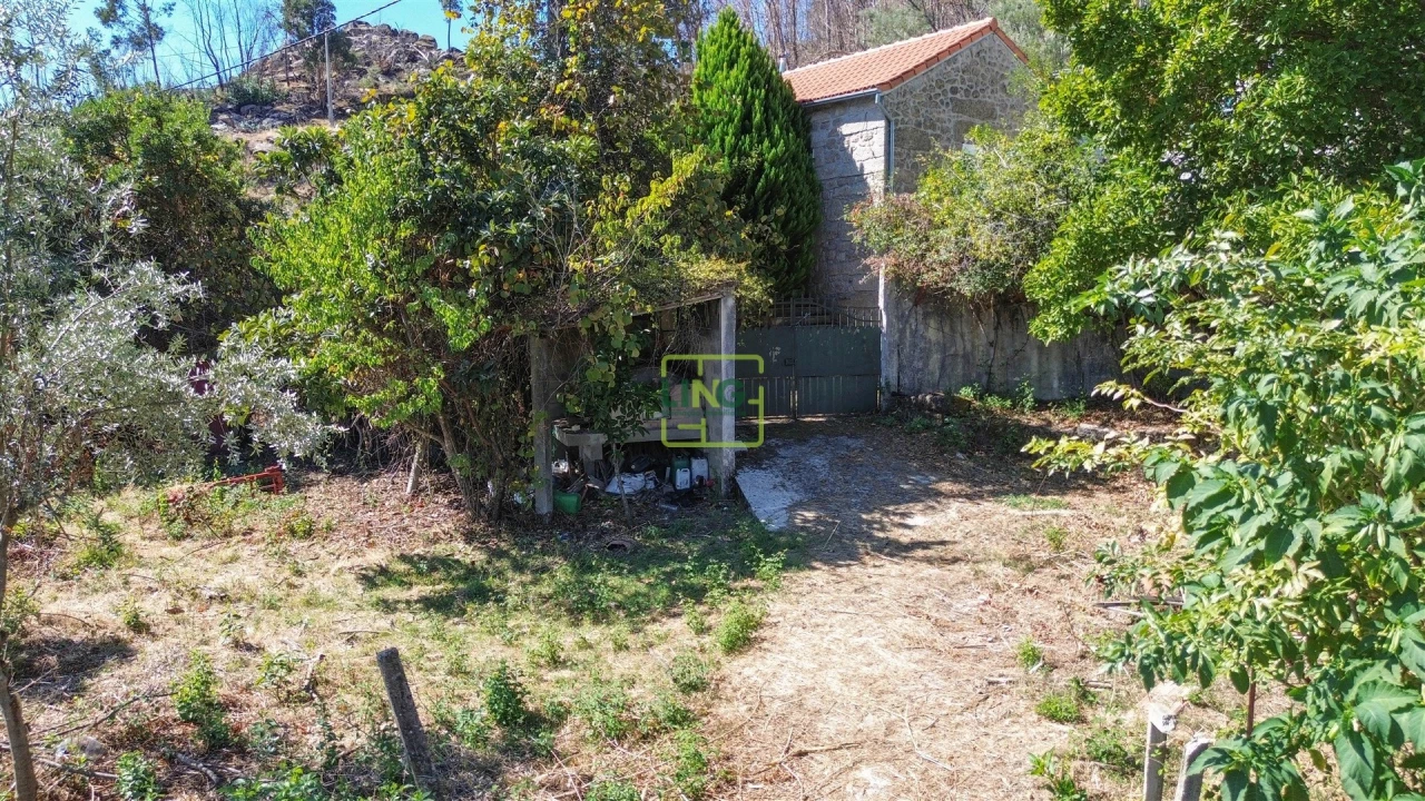 Quinta T4 para Venda em Louriçal do Campo Foto 81