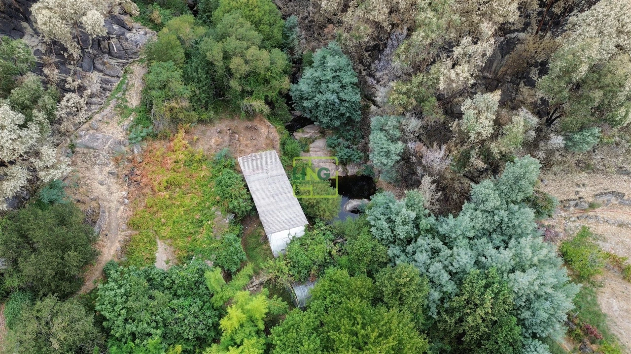 Quinta T4 para Venda em Louriçal do Campo Foto 58
