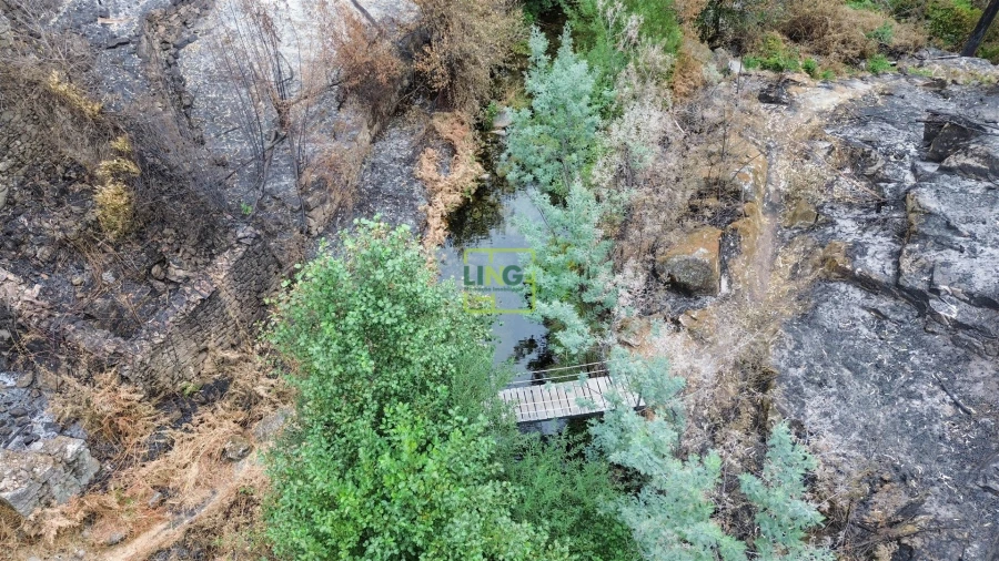 Quinta T4 para Venda em Louriçal do Campo Foto 52
