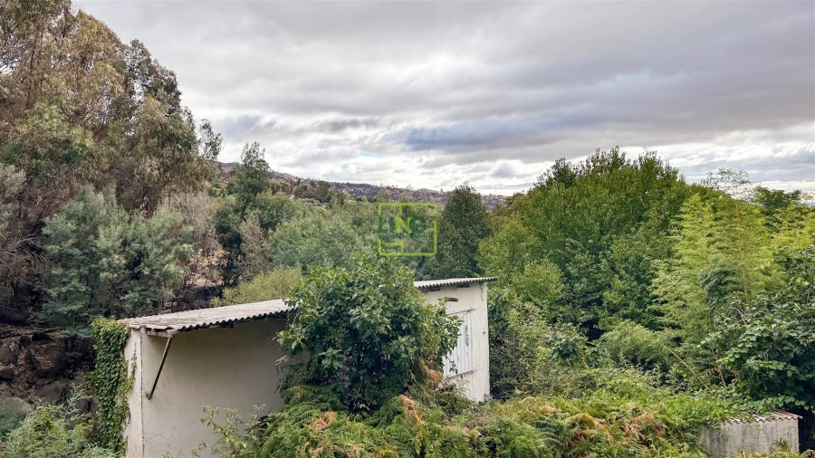 Quinta T4 para Venda em Louriçal do Campo Foto 104