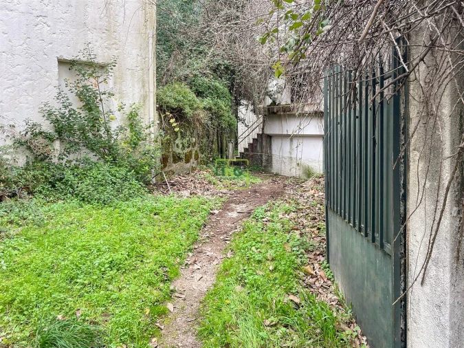 Quinta T4 para Venda em Louriçal do Campo Foto 23