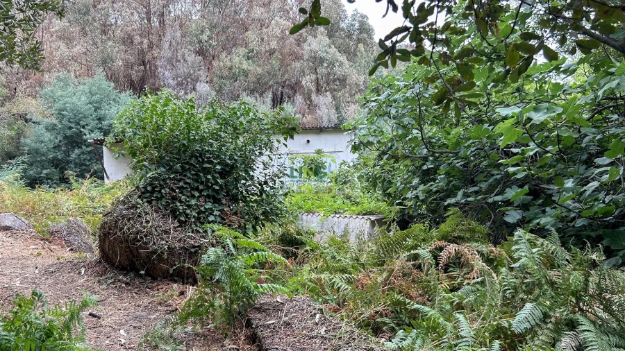 Quinta T4 para Venda em Louriçal do Campo Foto 106