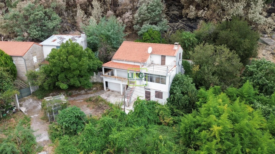 Quinta T4 para Venda em Louriçal do Campo Foto 64