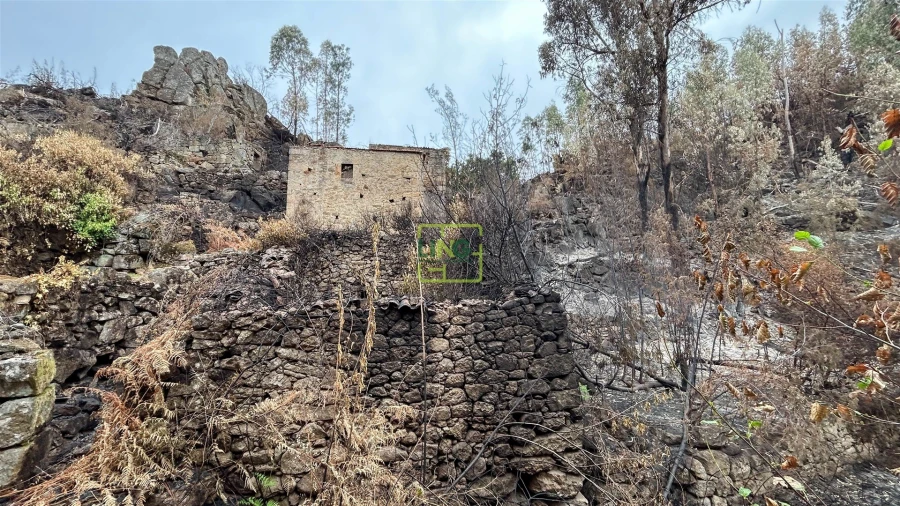 Quinta T4 para Venda em Louriçal do Campo Foto 91