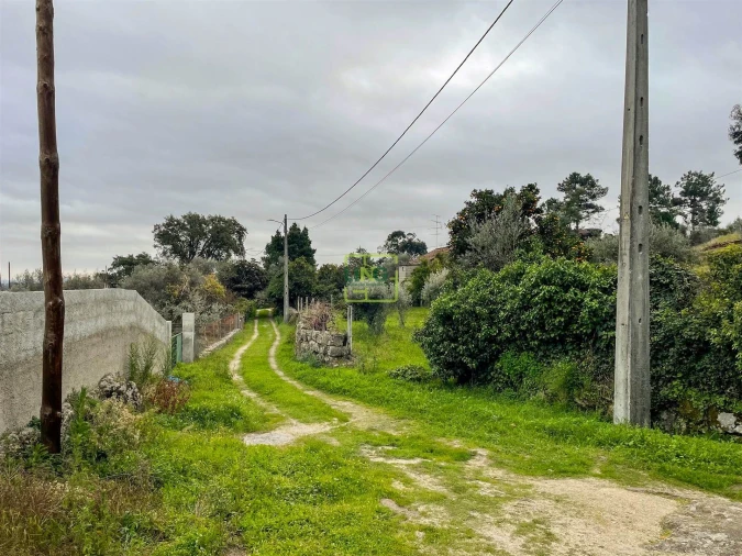 Quinta T4 para Venda em Louriçal do Campo Foto 7