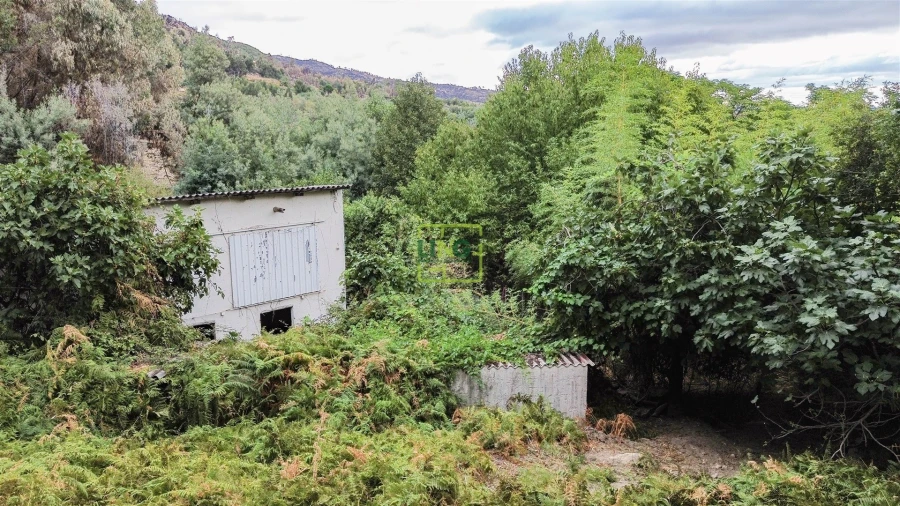 Quinta T4 para Venda em Louriçal do Campo Foto 54