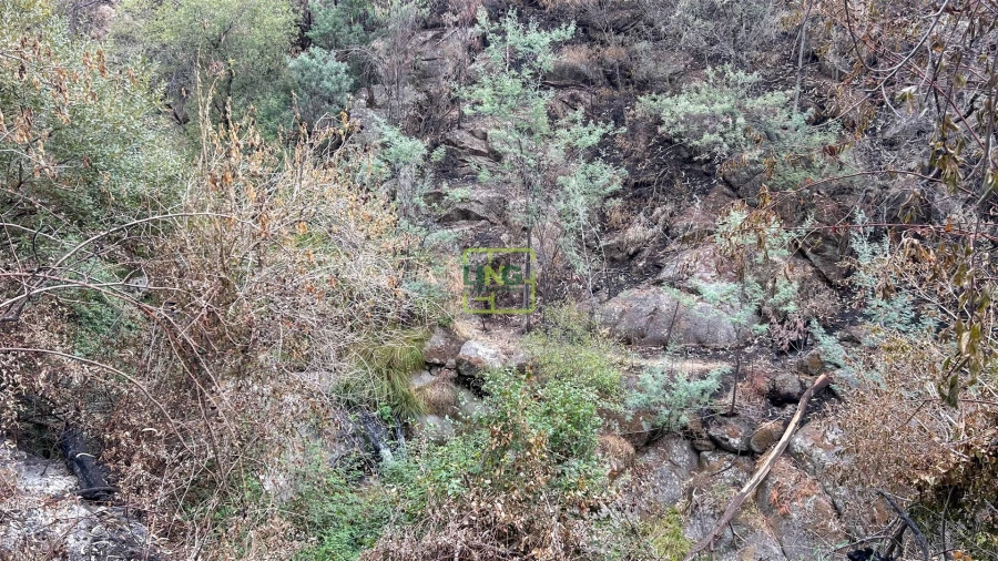 Quinta T4 para Venda em Louriçal do Campo Foto 101