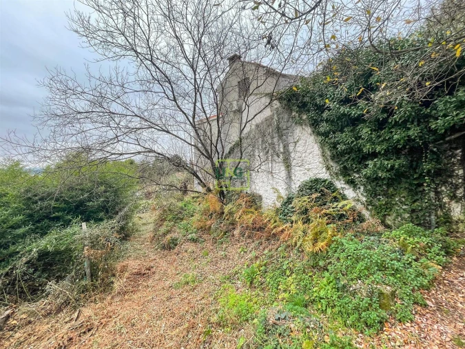 Quinta T4 para Venda em Louriçal do Campo Foto 124