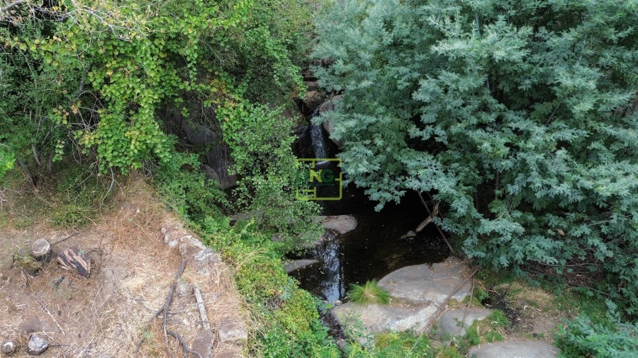 Quinta T4 para Venda em Louriçal do Campo Foto 57