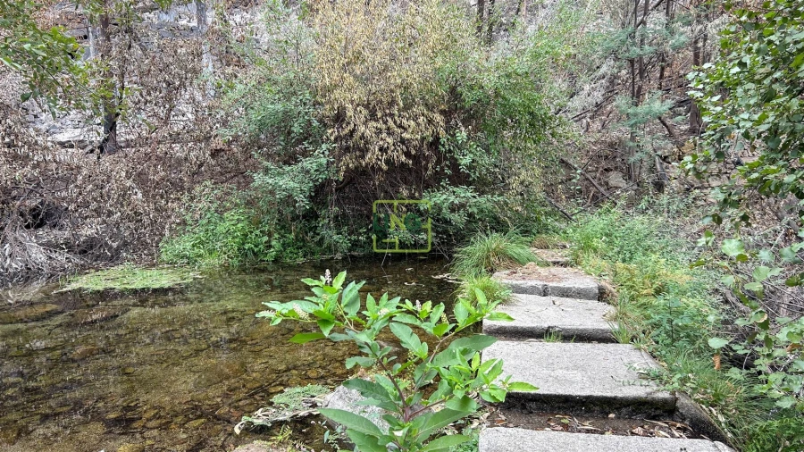 Quinta T4 para Venda em Louriçal do Campo Foto 96