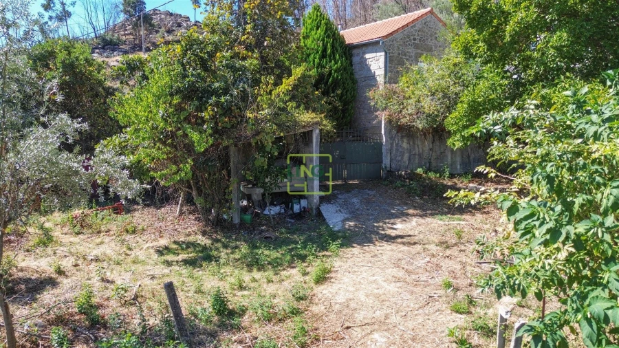 Quinta T4 para Venda em Louriçal do Campo Foto 81