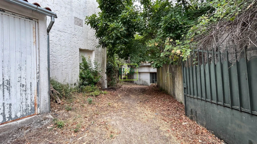 Quinta T4 para Venda em Louriçal do Campo Foto 114
