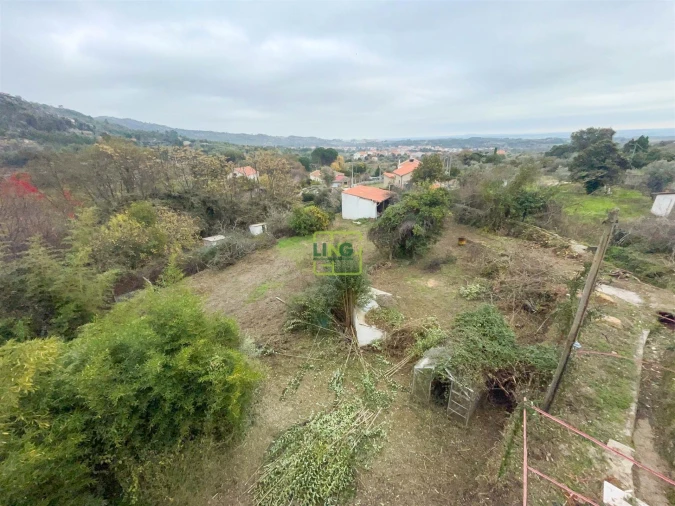 Quinta T4 para Venda em Louriçal do Campo Foto 130