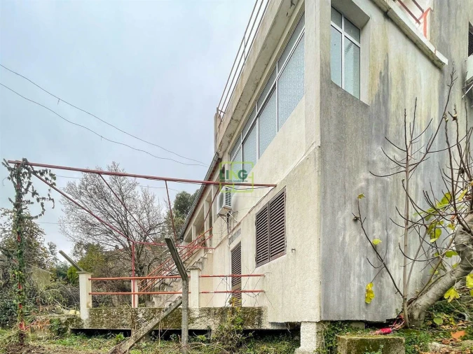 Quinta T4 para Venda em Louriçal do Campo Foto 123