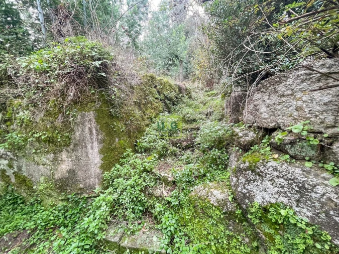 Quinta T4 para Venda em Louriçal do Campo Foto 131