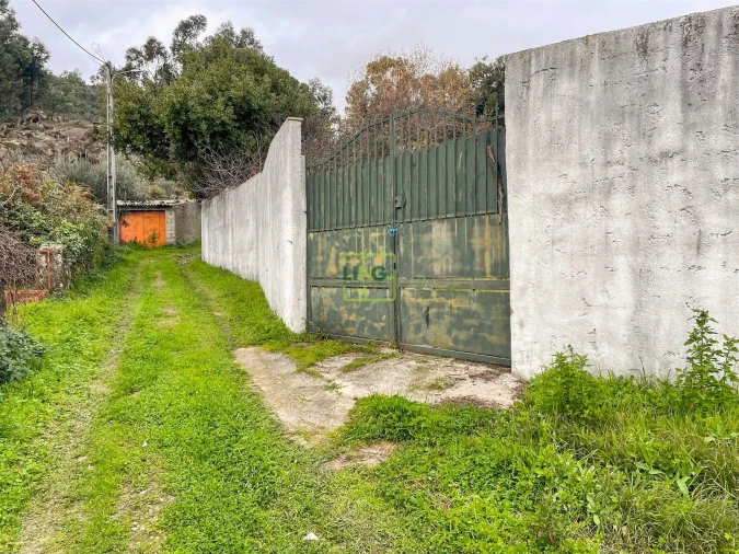 Quinta T4 para Venda em Louriçal do Campo Foto 13