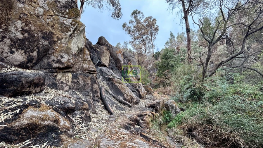 Quinta T4 para Venda em Louriçal do Campo Foto 100