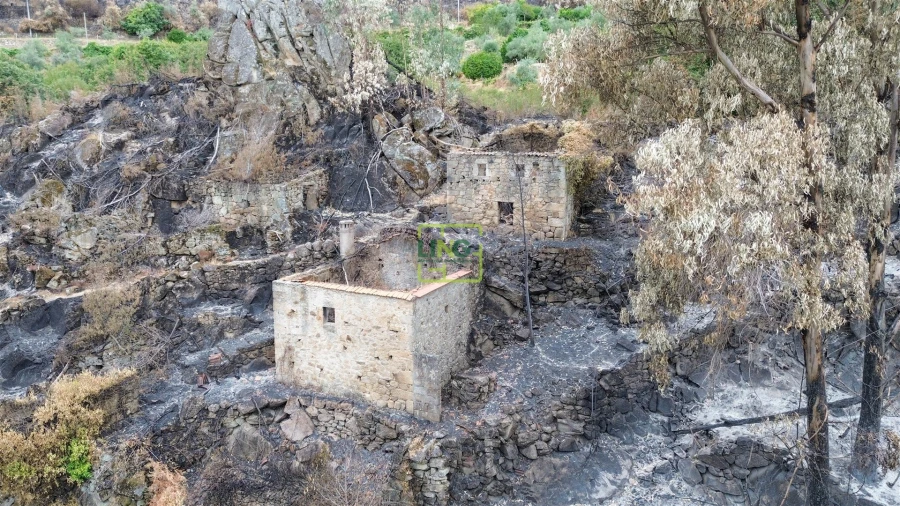 Quinta T4 para Venda em Louriçal do Campo Foto 51