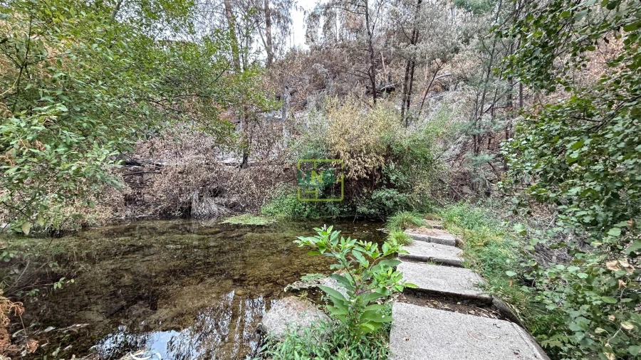 Quinta T4 para Venda em Louriçal do Campo Foto 97