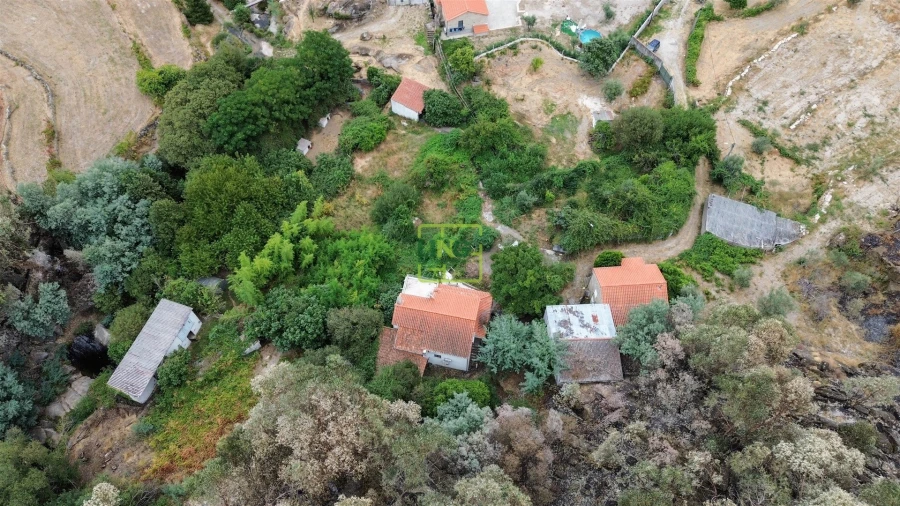Quinta T4 para Venda em Louriçal do Campo Foto 65