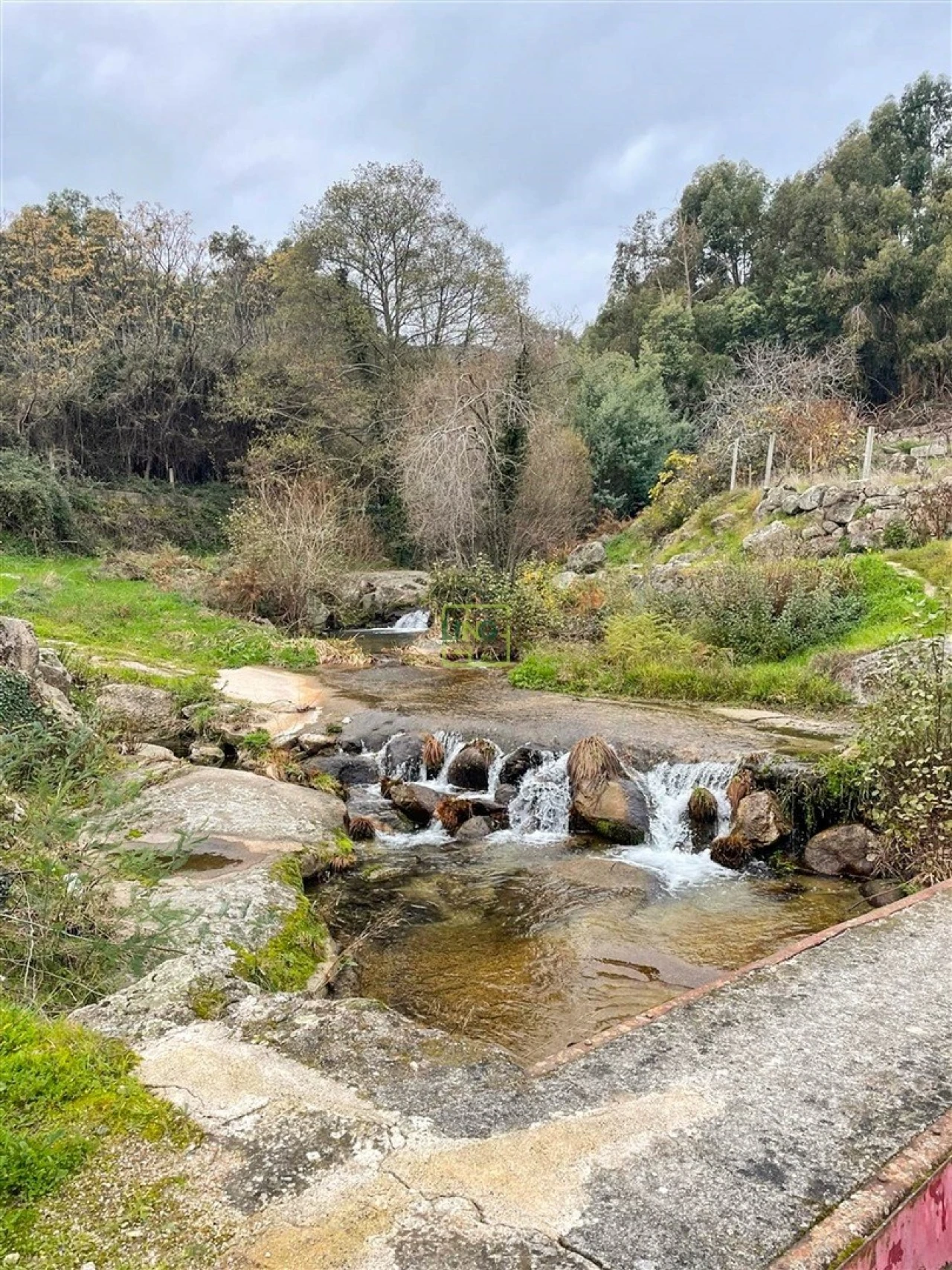 Quinta T4 para Venda em Louriçal do Campo Foto 38