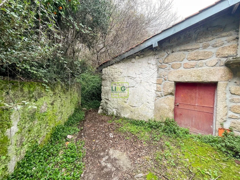 Quinta T4 para Venda em Louriçal do Campo Foto 122