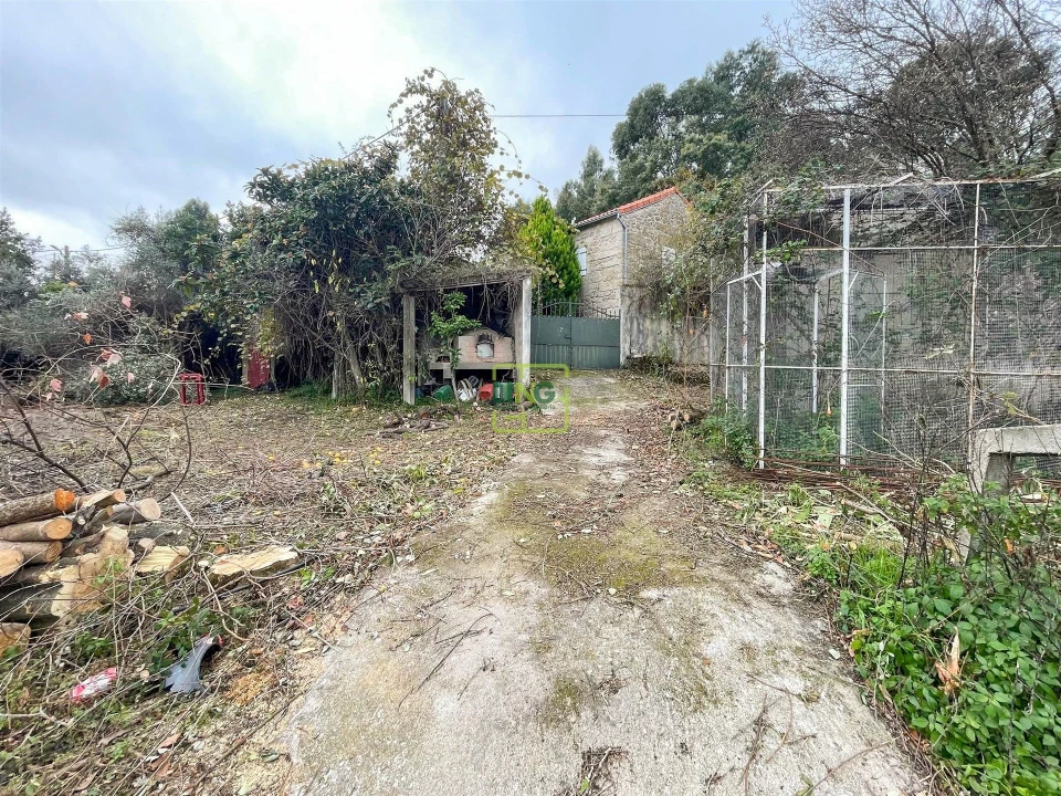 Quinta T4 para Venda em Louriçal do Campo Foto 10