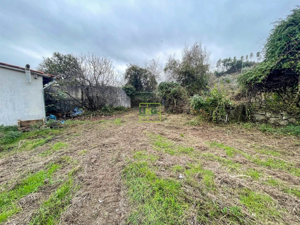 Quinta T4 para Venda em Louriçal do Campo Foto 19