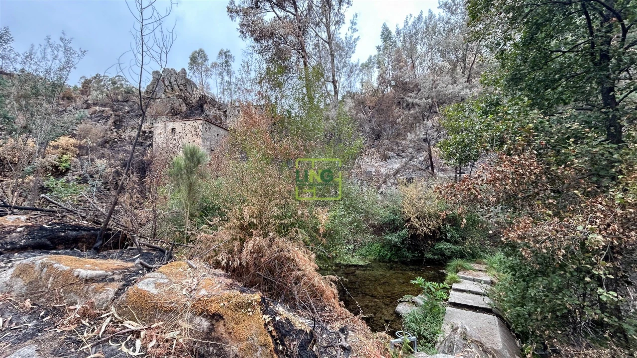 Quinta T4 para Venda em Louriçal do Campo Foto 99