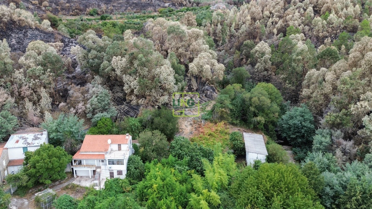 Quinta T4 para Venda em Louriçal do Campo Foto 60