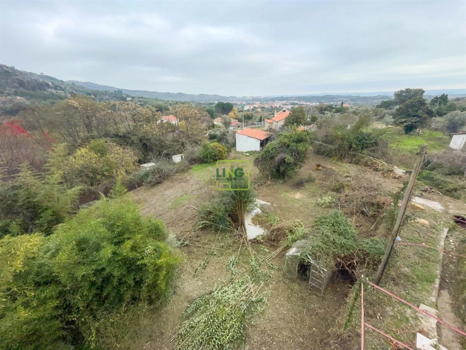Quinta T4 para Venda em Louriçal do Campo Foto 130