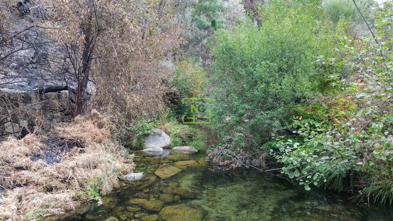 Quinta T4 para Venda em Louriçal do Campo Foto 46