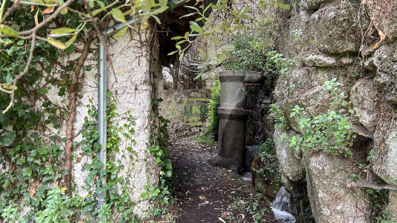 Quinta T4 para Venda em Louriçal do Campo Foto 107