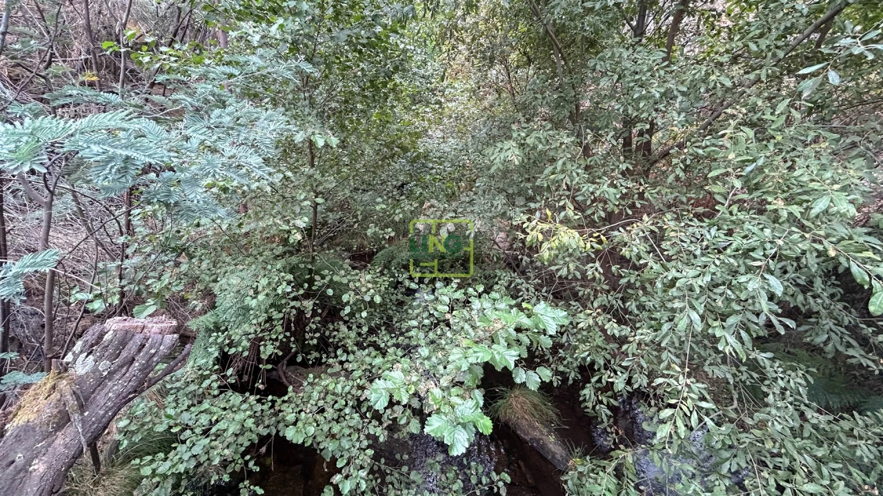 Quinta T4 para Venda em Louriçal do Campo Foto 95