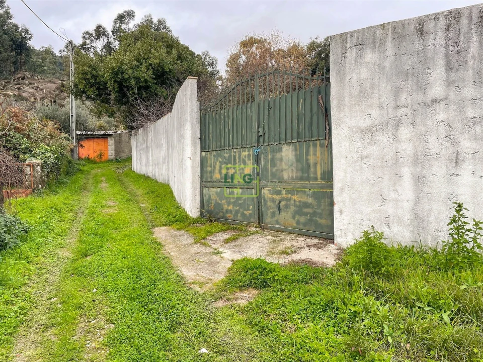 Quinta T4 para Venda em Louriçal do Campo Foto 13
