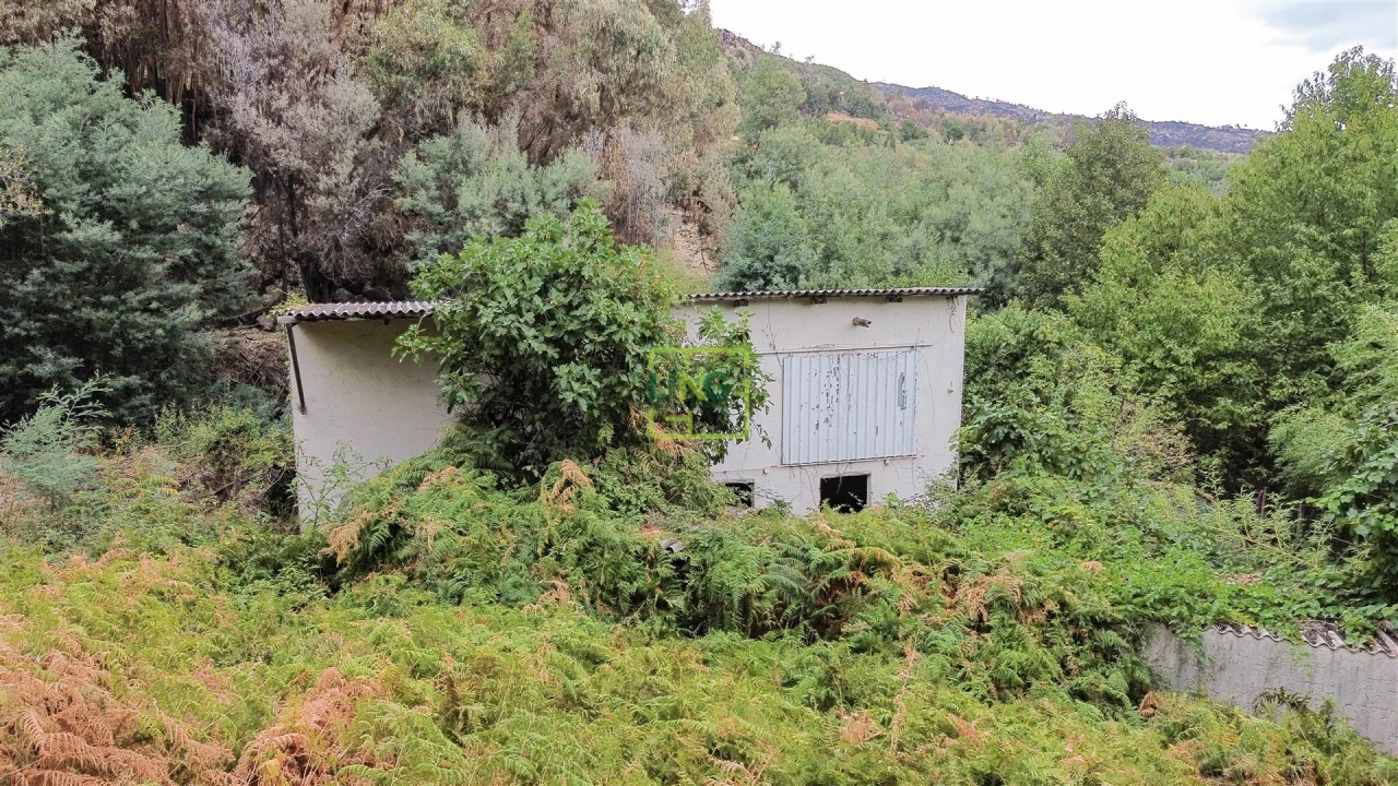 Quinta T4 para Venda em Louriçal do Campo Foto 53