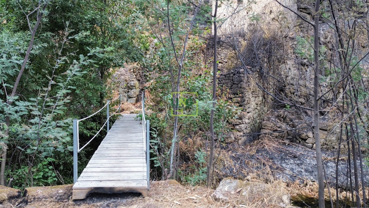 Quinta T4 para Venda em Louriçal do Campo Foto 44