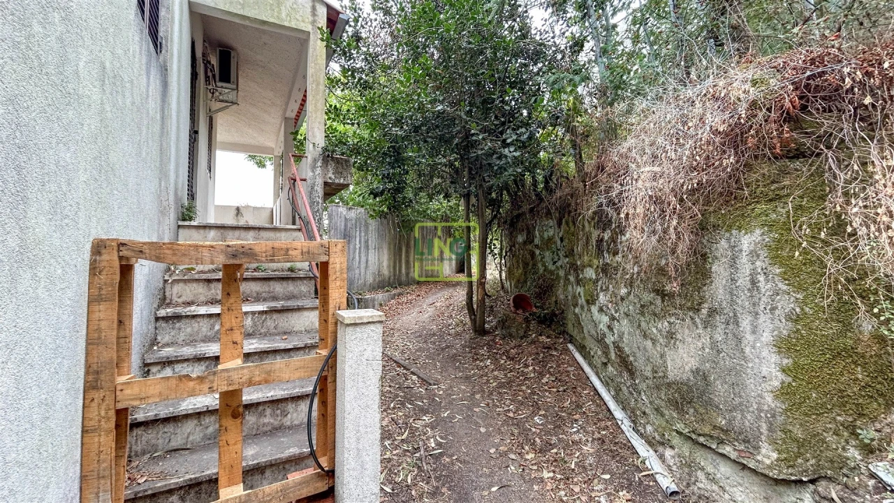 Quinta T4 para Venda em Louriçal do Campo Foto 109