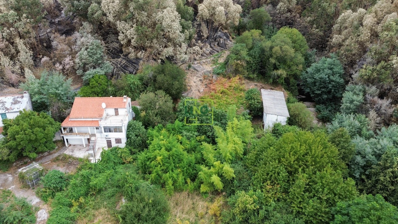 Quinta T4 para Venda em Louriçal do Campo Foto 61