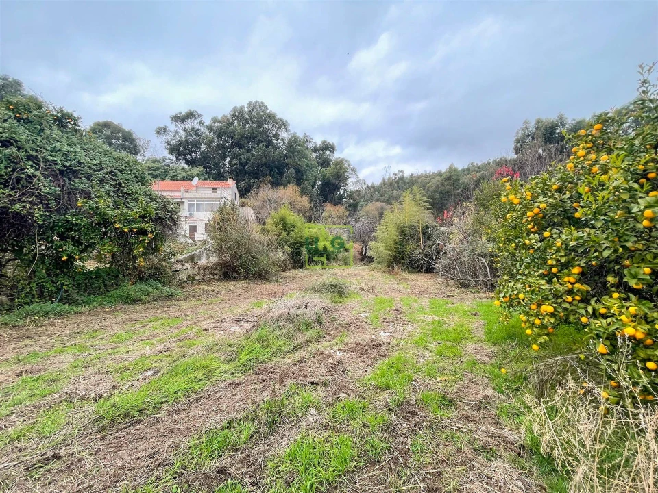 Quinta T4 para Venda em Louriçal do Campo Foto 132